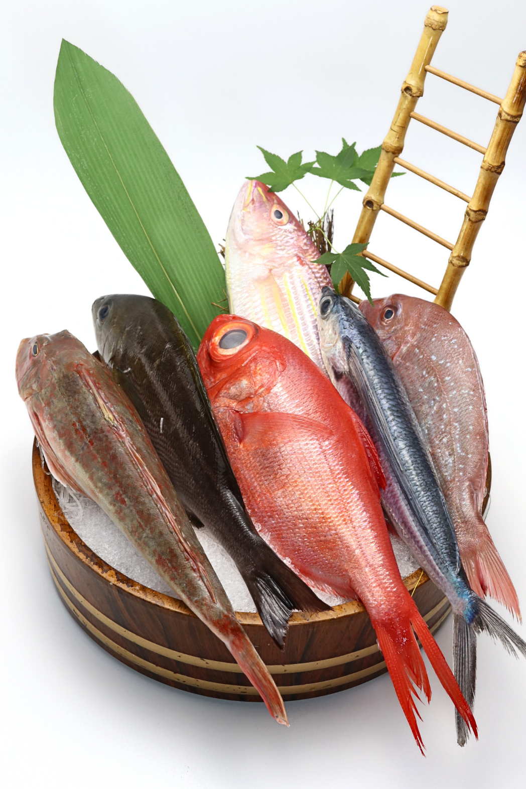 Assorted Seasonal Fish Box Sashimi – Mita Sushi