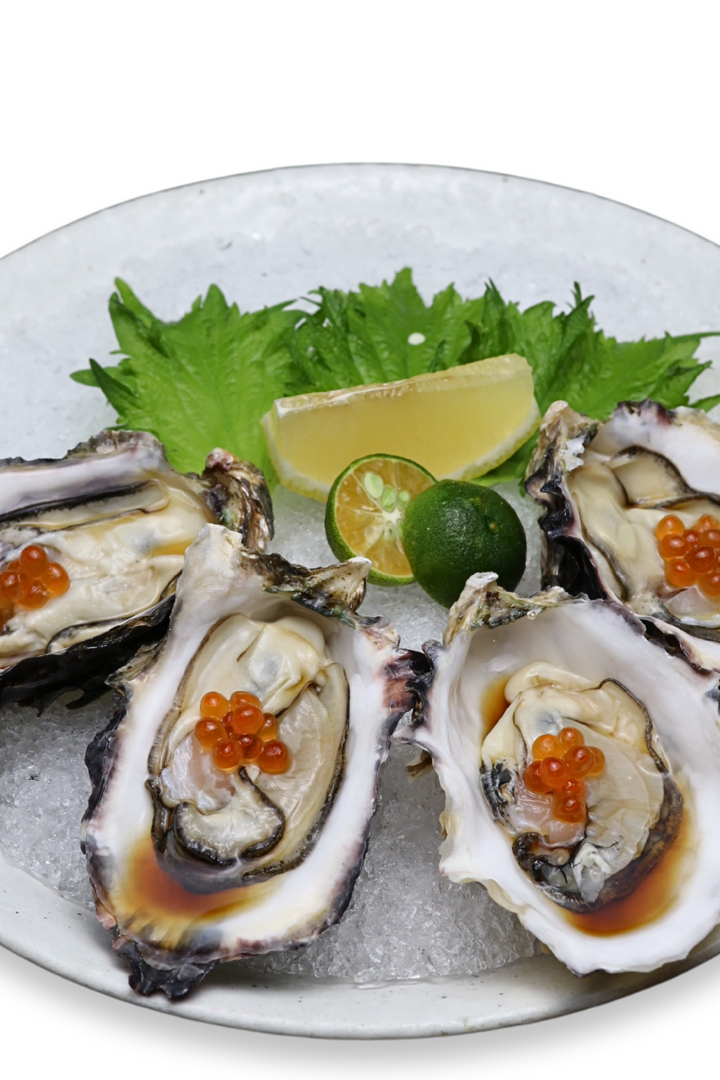 Kaki Oyster (Ikura) (4 PCS)