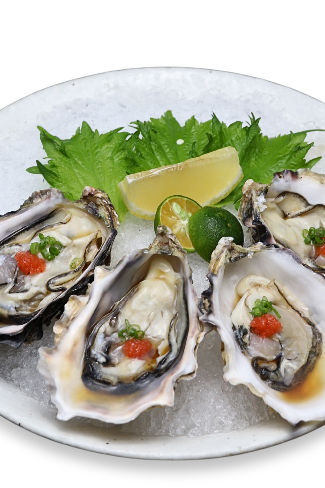 Kaki Oyster (Ponzu) (4 PCS)