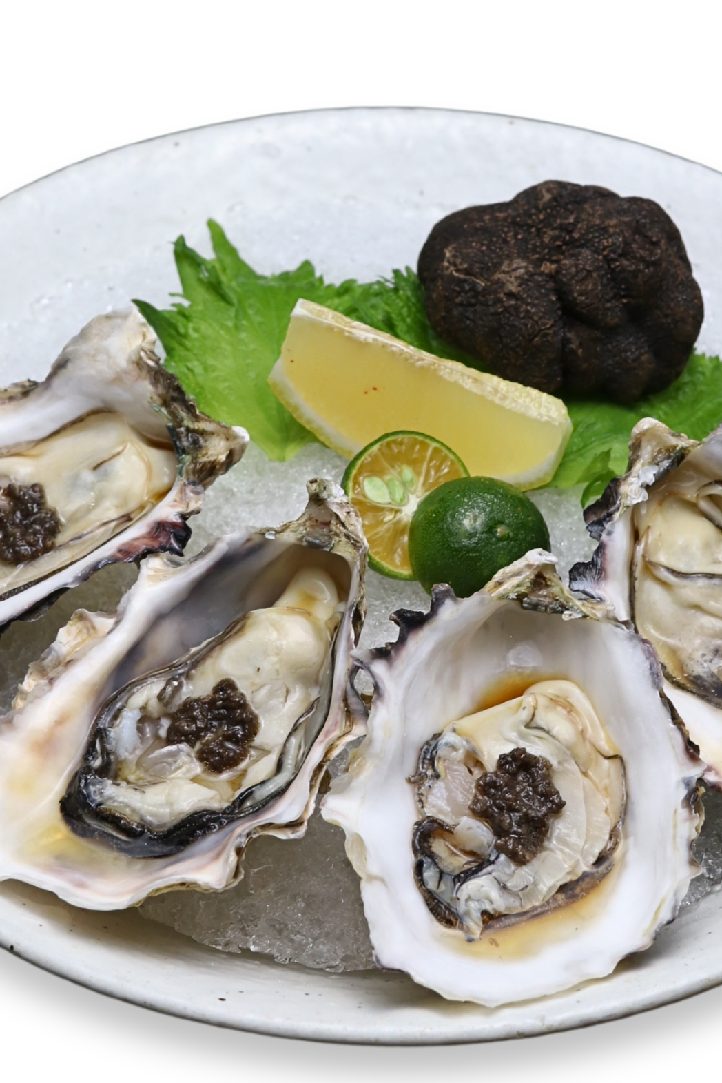 Kaki Oyster (Truffle Sauce)