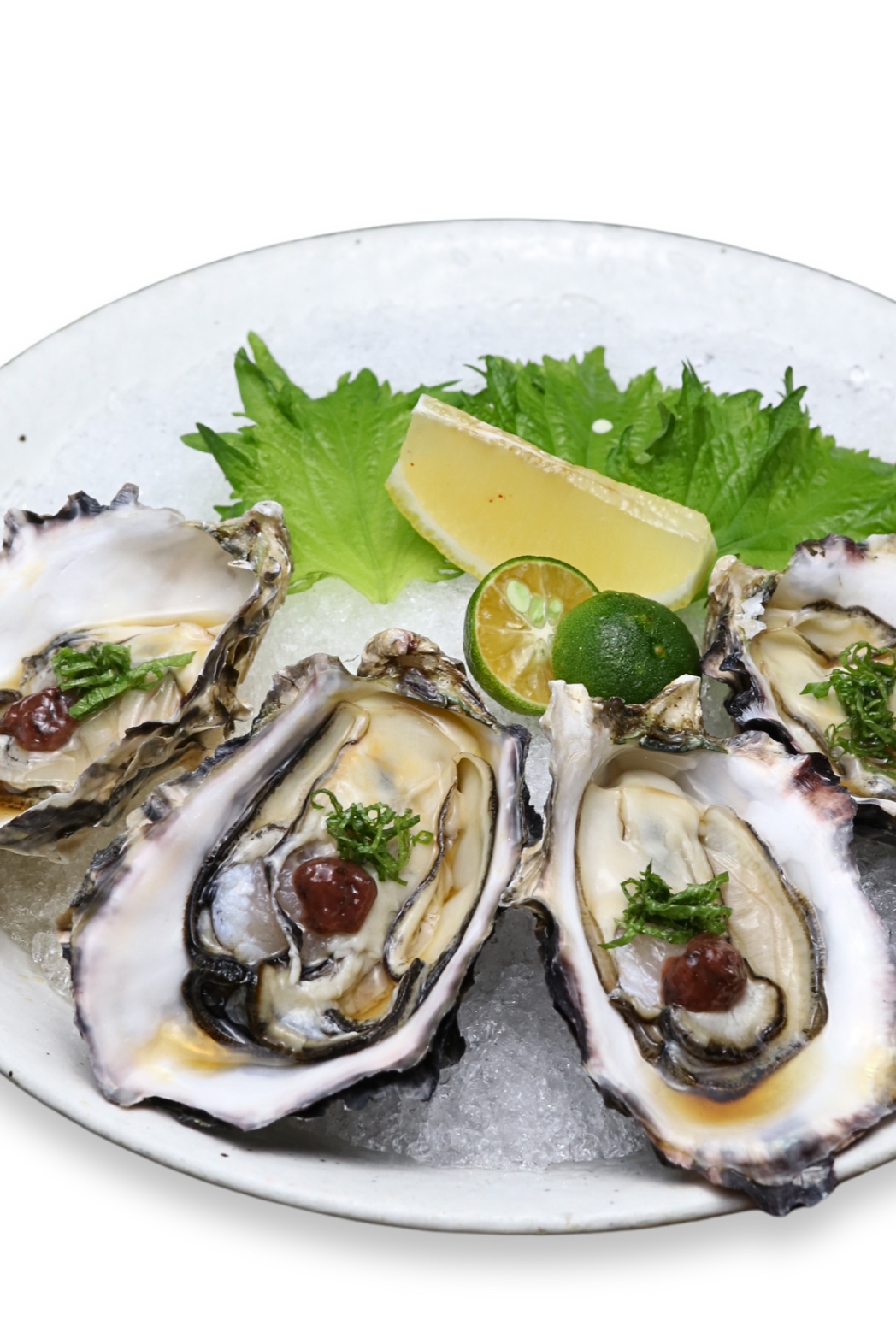 Kaki Oyster (Ume Shiso) (4 PCS)
