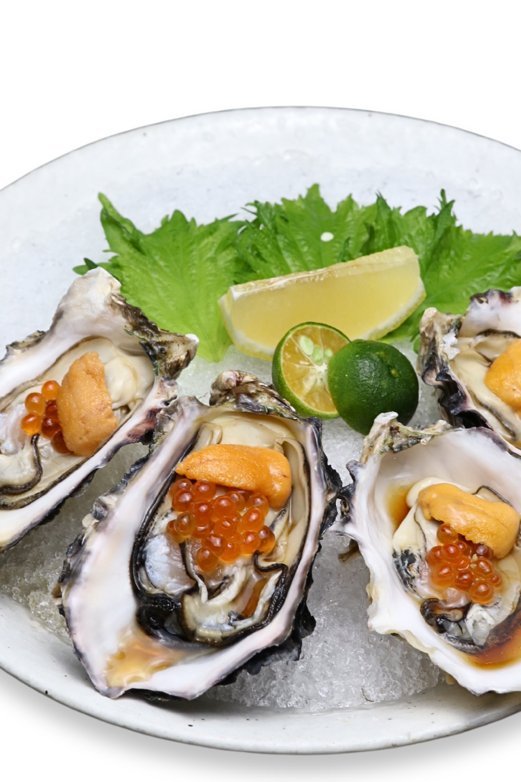 Kaki Oyster (Ikura Uni) (4 PCS)