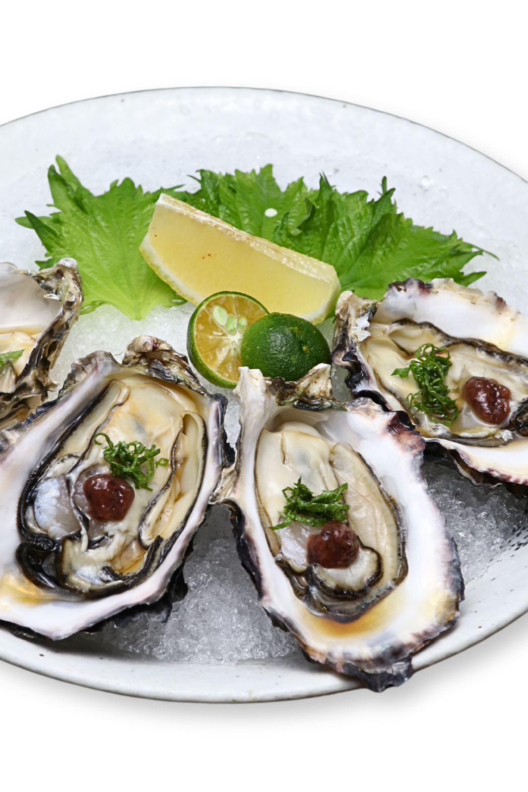 Kaki Oyster Ume Shiso