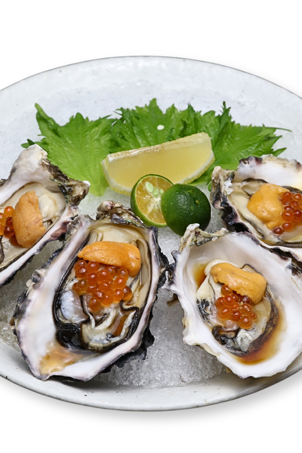 Kaki Oyster Uni Ikura