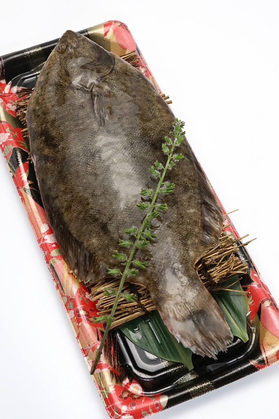 Hirame Sashimi / Japanese Flounder Mita Sushi